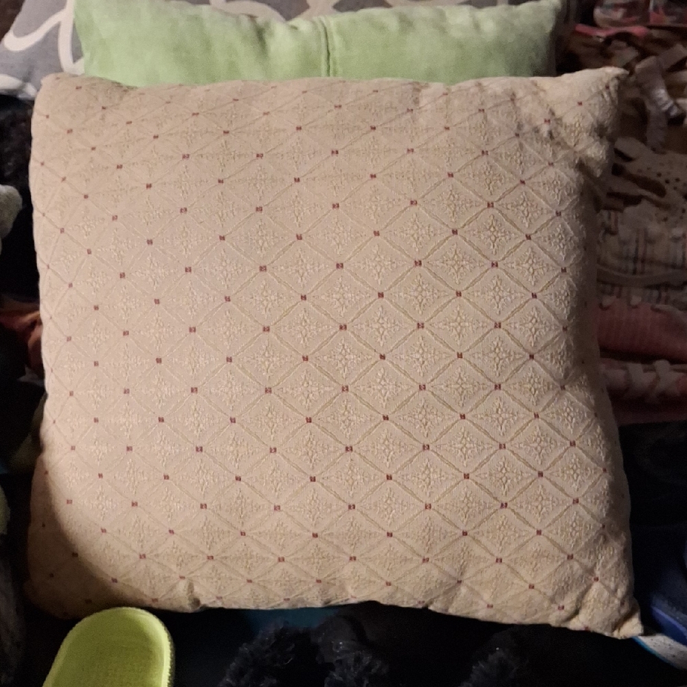 Elegant Cream Decorative Pillow